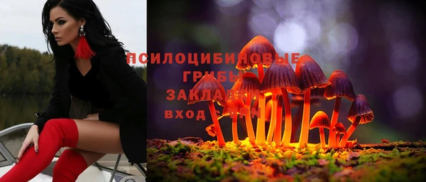 дурь Алзамай