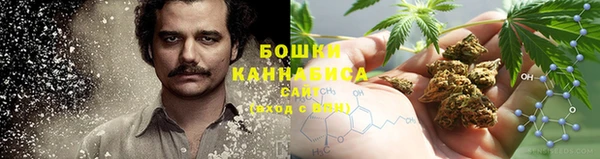 дурь Алзамай