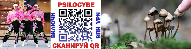 Галлюциногенные грибы Magic Shrooms  как найти закладки  Жуковский 