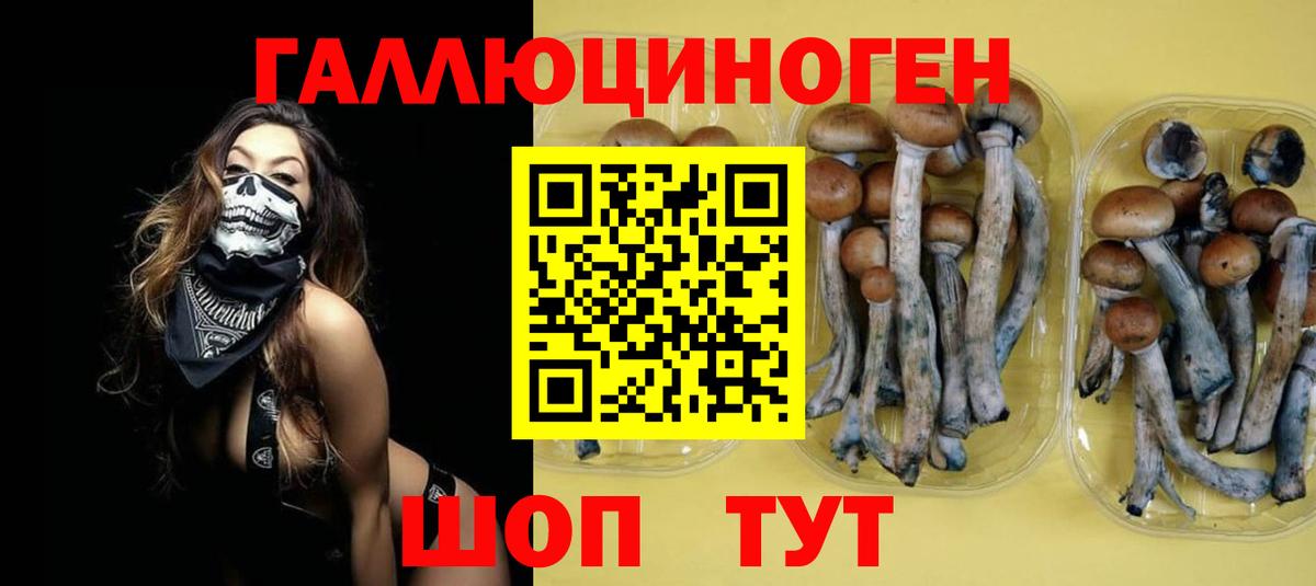 Псилоцибиновые грибы Psilocybe Жуковский