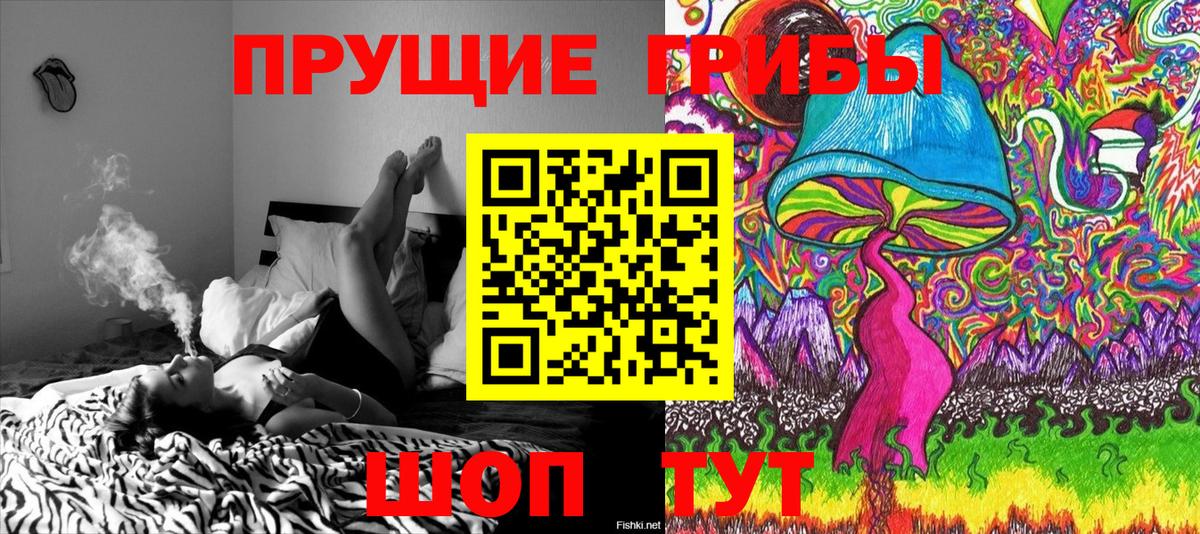 Жуковский  Псилоцибиновые грибы Magic Shrooms  Вход с VPN 